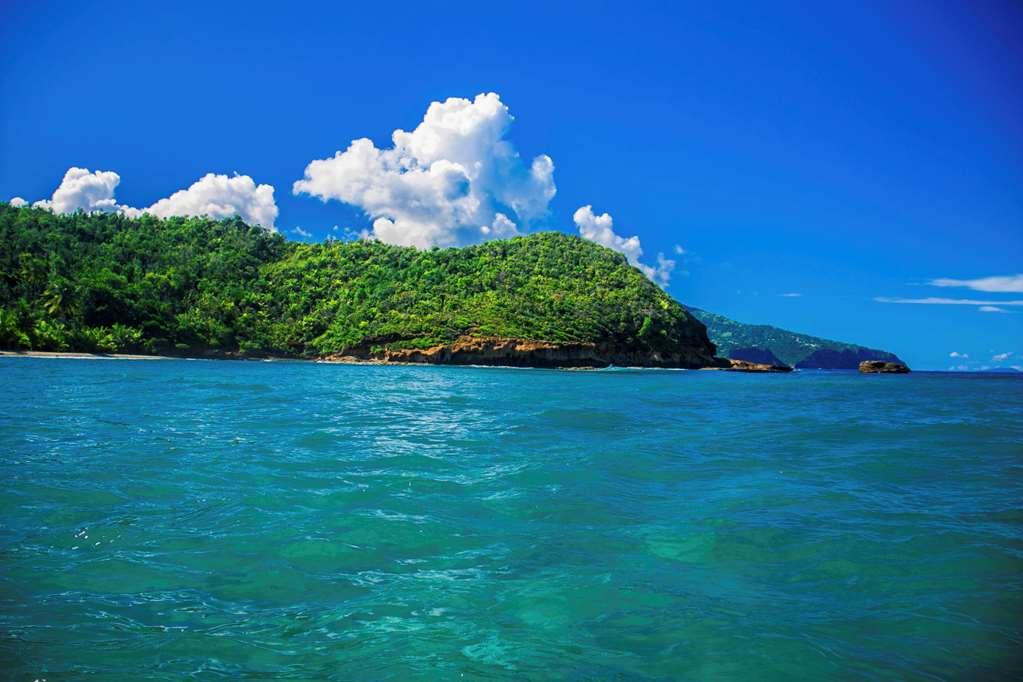 Atlantique View Resort And Spa, Ascend Hotel Collection Saint Andrew Servis gambar