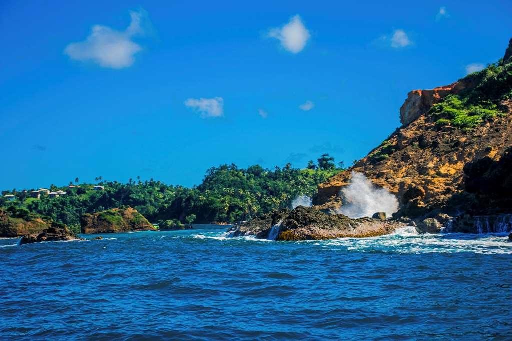 Atlantique View Resort And Spa, Ascend Hotel Collection Saint Andrew Servis gambar
